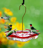 Aspects HummZinger® 8oz Square - Hummingbird Market of Tucson, Arizona. Feeders and Nectar