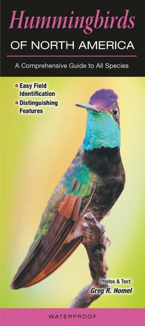 Hummingbirds of North America by Greg Homel – Hummingbird Market of ...