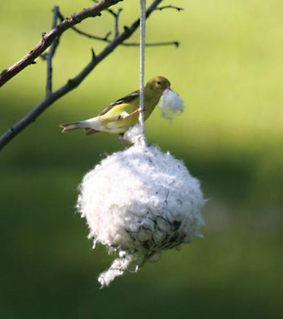 Bird's Choice Cottontail Nest Building Ball - Hummingbird Market of Tucson, Arizona. Feeders and Nectar